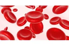Eritrosit Hemoglobin Düşüklüğü