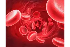 Eritrosit Neden Yükselir? Eritrosit Neden Yükselir?