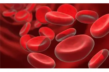 Eritrosit Değerleri