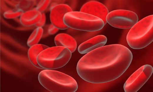 Eritrosit Değerleri