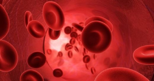 Eritrosit Yüksekliği Belirtileri ve Tedavisi