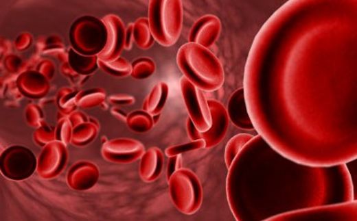 İdrarda Eritrosit ve Lökosit Tedavisi