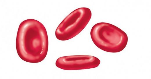 Kanda Eritrosit Düşüklüğü Belirtileri ve Tedavisi